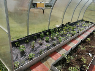 Агротекстиль Agrojutex 100г/м2 - 2.10x100м