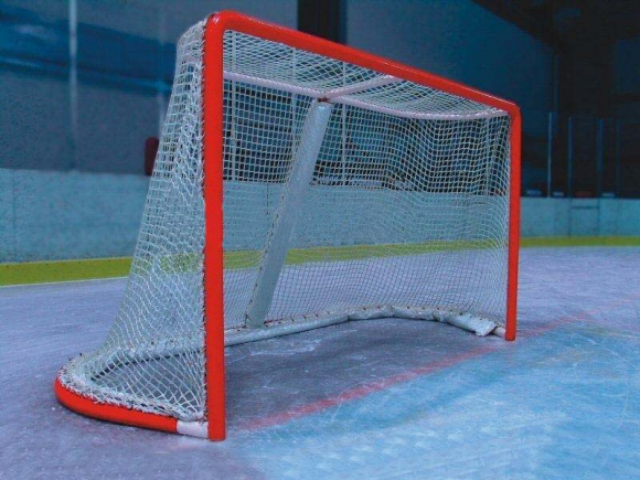 Сетка хоккей с шайбой - 2.5 мм ПА