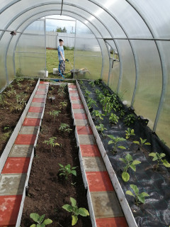 Агротекстиль Agrojutex 100г/м2 - 1.65x40м