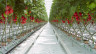 Агротекстиль Agrojutex белый 100г/м2 - 3.30x100м